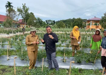 50 Hektare KPT Dumai, TR : Pilar Ketahanan Pangan di Era Modern