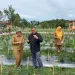 50 Hektare KPT Dumai, TR : Pilar Ketahanan Pangan di Era Modern