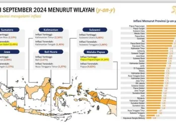SULTRA Posisi Ketiga Terendah, Stabilitas di Tengah Gelombang Inflasi