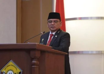 Sultra Raih Penghargaan Anindhita Wistara Data 2024