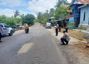 Tragis! Kecelakaan Tabrak Lari di Majene, Pemotor Tewas di Tempat