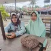 Terkait Peristiwa di Blang Nisam, Keluarga Cut Ungkap Harapan Damai dan Bantah Percobaan Pembunuhan