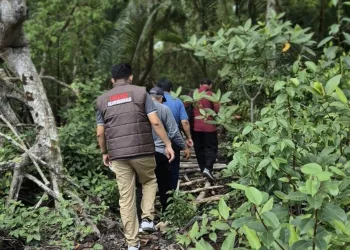 Jaksa Usut Kongkalikong Tambak Udang dan Kerusakan Hutan Bakau