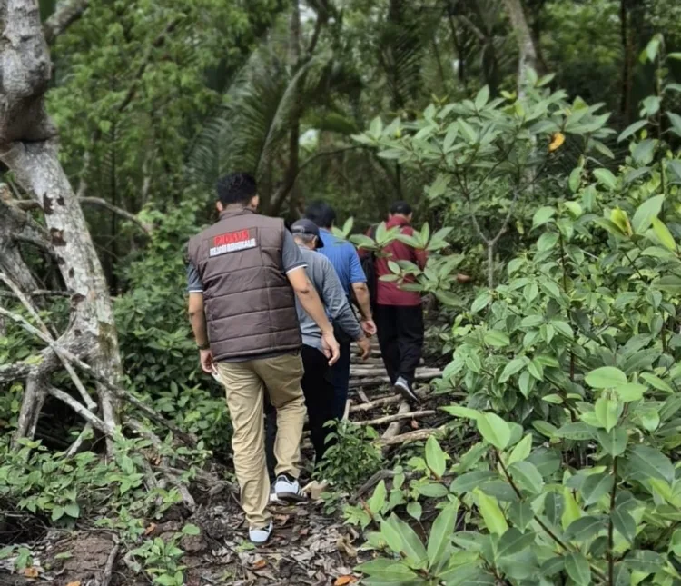 Jaksa Usut Kongkalikong Tambak Udang dan Kerusakan Hutan Bakau