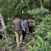 Jaksa Usut Kongkalikong Tambak Udang dan Kerusakan Hutan Bakau