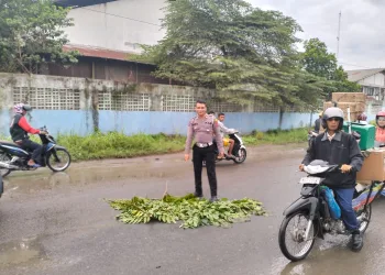 Penumpang Sepeda Motor Meninggal Tergilas Ban Mobil Truk Di Sampali