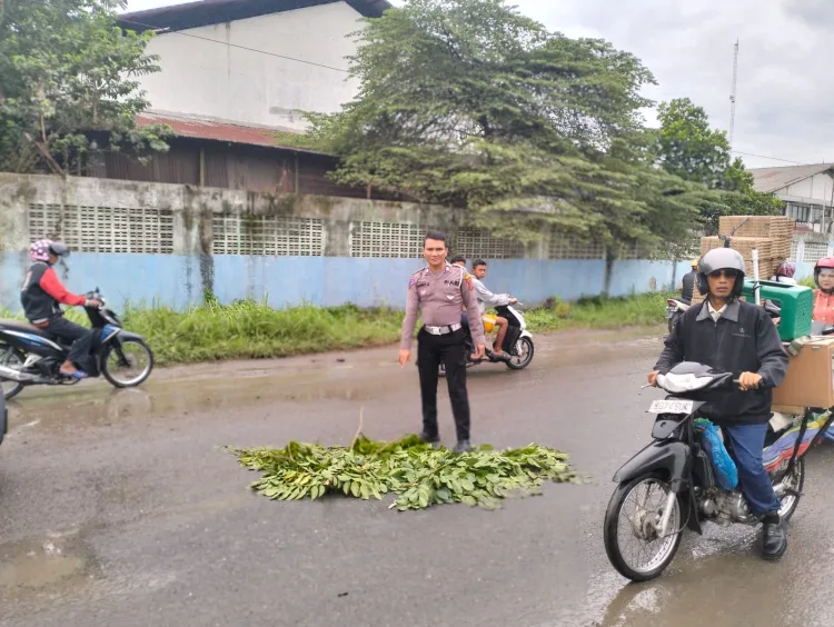Penumpang Sepeda Motor Meninggal Tergilas Ban Mobil Truk Di Sampali