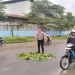 Penumpang Sepeda Motor Meninggal Tergilas Ban Mobil Truk Di Sampali