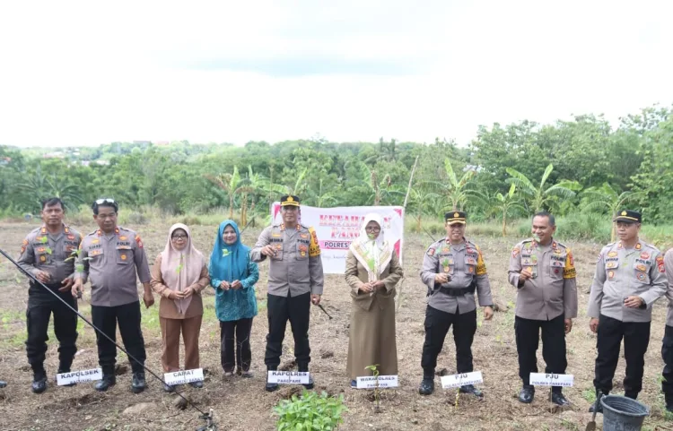 Swasembada Pangan, Kapolres Parepare Tanam 1000 Cabai