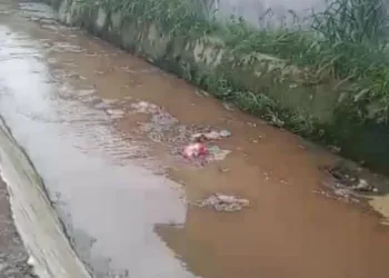 Miris Limbah Sejumlah Perusahaan, Mencemari Lingkungan Warga di Kecamatan Sunggal