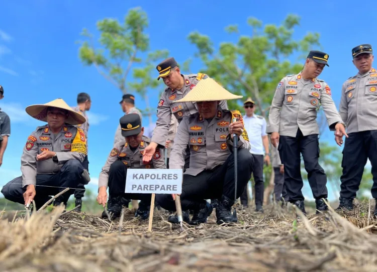 Kapolres Parepare Turun Tanam Jagung, Sukseskan Program Ketahanan Pangan Nasional