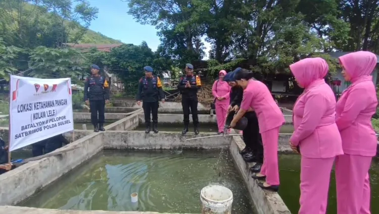 Batalyon B Pelopor Satbrimob Polda Sulsel Tebar Ribuan Bibit Lele, Dukung Ketahanan Pangan
