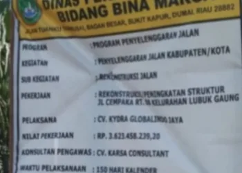 Jalan Cempaka di Dumai Baru Dibangun Sudah Retak, Nilai Proyek Rp3,6 Miliar
