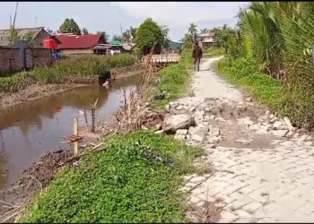 Penggunaan dan pengalokasian Dana Desa di Desa Rantau panjang Kecamatan Pantai Labu layak diaudit