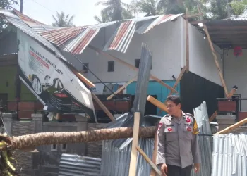 Pohon Kelapa Tumbang Timpa Rumah di Majene, Warga Waspada Cuaca Ekstrem