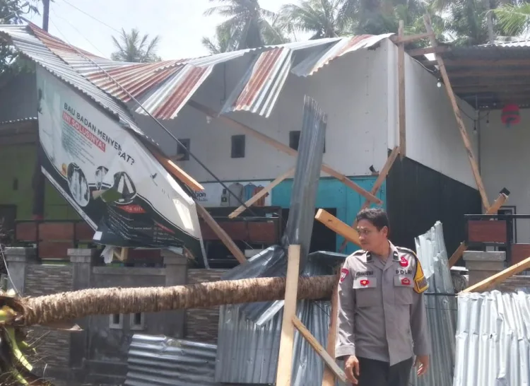 Pohon Kelapa Tumbang Timpa Rumah di Majene, Warga Waspada Cuaca Ekstrem