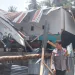 Pohon Kelapa Tumbang Timpa Rumah di Majene, Warga Waspada Cuaca Ekstrem