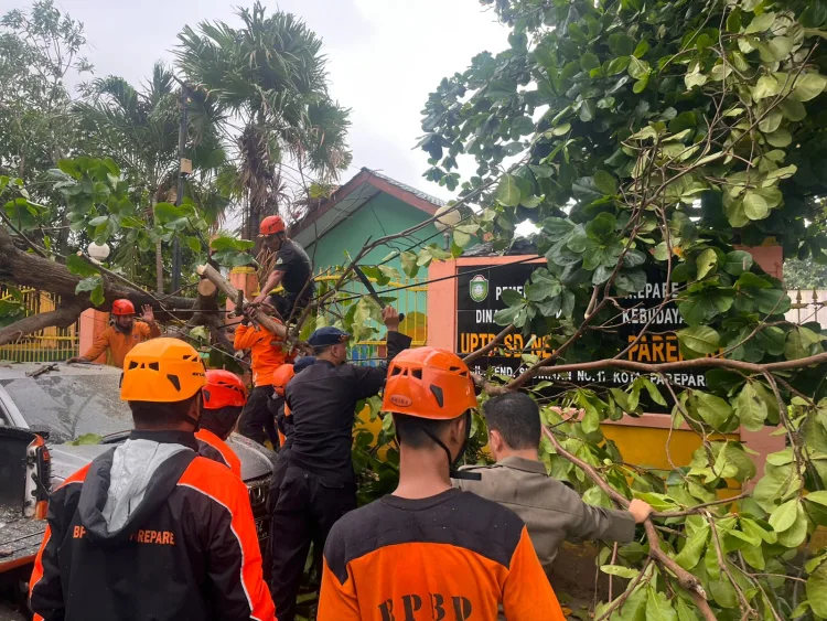 Brimob Sulsel Bersama BPBD Parepare Evakuasi Pohon Tumbang di depan UPDT SD 46 Kota Parepare