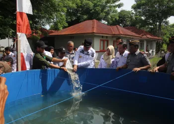 Penanaman Lombok dan Tebar Benih Ikan di SAE Lapas IIA Parepare: Strategi Kolaboratif untuk Ketahanan Pangan