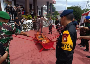 Danyon B Pelopor Satuan Brimob Polda Sulsel Hadiri Pemusnahan Barang Bukti di Kejaksaan Negeri Parepare