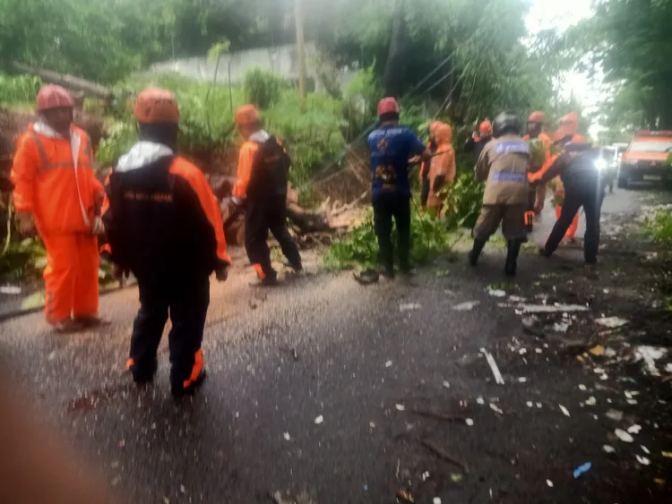 Pohon Tumbang di Jalan Latasakka Bacukiki Barat, Bhabinkamtibmas Bantu Tim BPBD dan Damkar Lakukan Penanganan