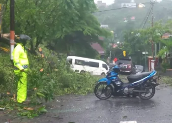 Personel Polsek Ujung Bantu Evakuasi Pohon Tumbang