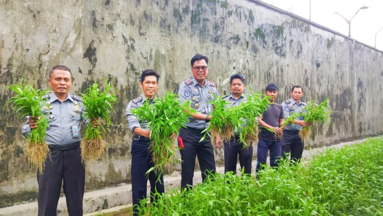 Dukung Program Akselerasi Menteri, Rutan Barru Panen Hasil Ketahanan Pangan