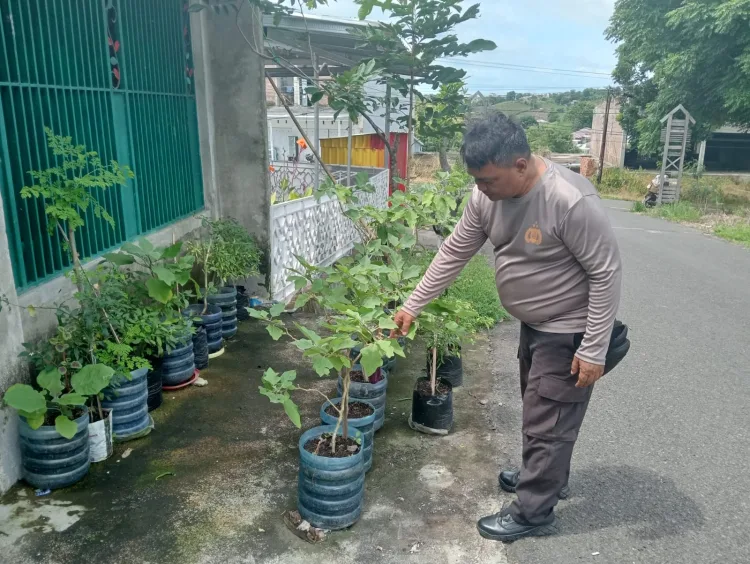 Dukung Program Swasembada Pangan, Bhabinkamtibmas Polsek Bacukiki Rutin Pantau Tanaman Pangan Warga