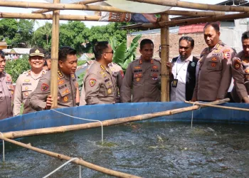 Tim Itwasum Polri Kunjungi Kawasan Optimalisasi Pemanfaatan Lahan Pekarangan di Parepare