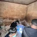 Kerangka Manusia Ditemukan di BTN Permata Sari, Polres Majene Lakukan Evakuasi