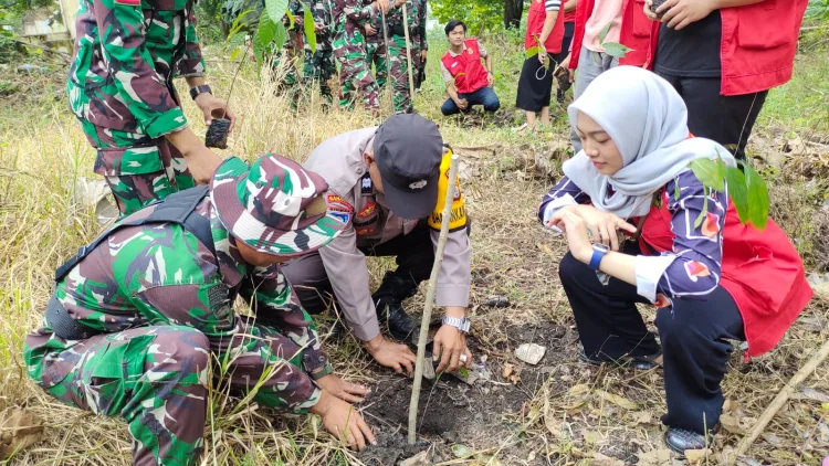 3 Pilar Kelurahan Lapadde Dukung Aksi Tanam Bibit Pohon dari Mahasiswa KKN Unhas