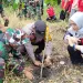 3 Pilar Kelurahan Lapadde Dukung Aksi Tanam Bibit Pohon dari Mahasiswa KKN Unhas
