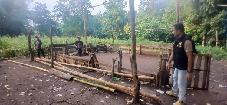 Personel Polsek Kajang Bakar Gelanggang Sabung Ayam di Desa Bonto Baji.