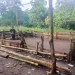 Personel Polsek Kajang Bakar Gelanggang Sabung Ayam di Desa Bonto Baji.