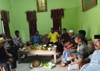 Anggota DPRD Sinjai Saldi Dorong Sinergi OPD dalam Menyelesaikan Persoalan Pertanian