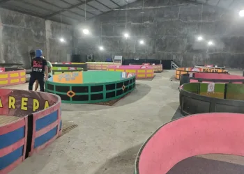 Kontes Ayam di Parepare, Bukan Sekadar Hiburan! 