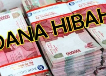 Menilik Regulasi Hibah: Mengapa Pemda Tak Bisa Beri Dana ke BUMD?