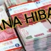 Menilik Regulasi Hibah: Mengapa Pemda Tak Bisa Beri Dana ke BUMD?