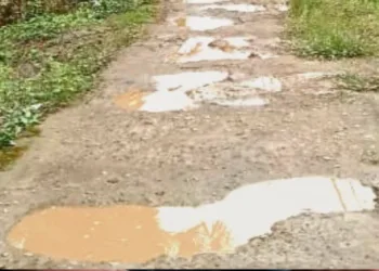 Air Mata Generasi di Era Prabowo Subianto Tumpah di Kubangan Jalan, Satu RT “Buta” di Malam Hari