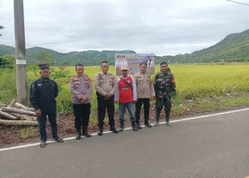 Kapolsek Bacukiki Wakili Kapolres Parepare Hadiri Panen Raya Padi, Dukung Produktivitas Pertanian Sukseskan Swasembada Pangan Nasional