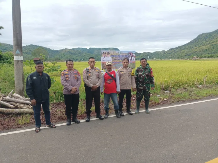 Kapolsek Bacukiki Wakili Kapolres Parepare Hadiri Panen Raya Padi, Dukung Produktivitas Pertanian Sukseskan Swasembada Pangan Nasional
