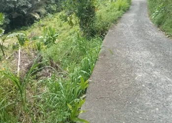 PENGUSAHA SUKSES YANG BER AKHLAK MULIA