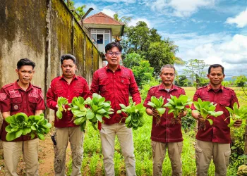Rutan Barru Kembali Panen, Dukung Program Akselerasi Menteri Imigrasi dan Pemasyarakatan