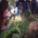 Seorang Anak di Sidrap Temukan Ibu Didalam Perut Ular Piton
