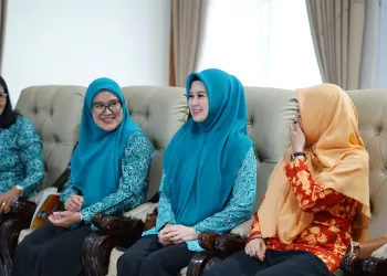 Perkuat Sinergi, TP PKK Parepare Ikuti Rakor Percepatan Penurunan Stunting