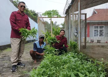 Program Ketahanan Pangan Dibalik Tembok Penjara Berhasil