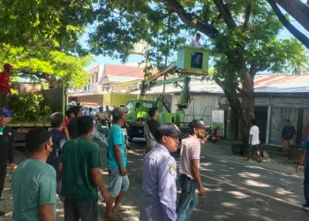 DLHK Kabupaten Majene Sukseskan Program Majene Mapaccing 