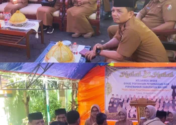 Halal Bihalal Dinas Pertanian, Peternakan, dan Perkebunan Majene: Jalin Ukhuwah, Rajut Kebersamaan dalam Semangat “Siwaliparri”