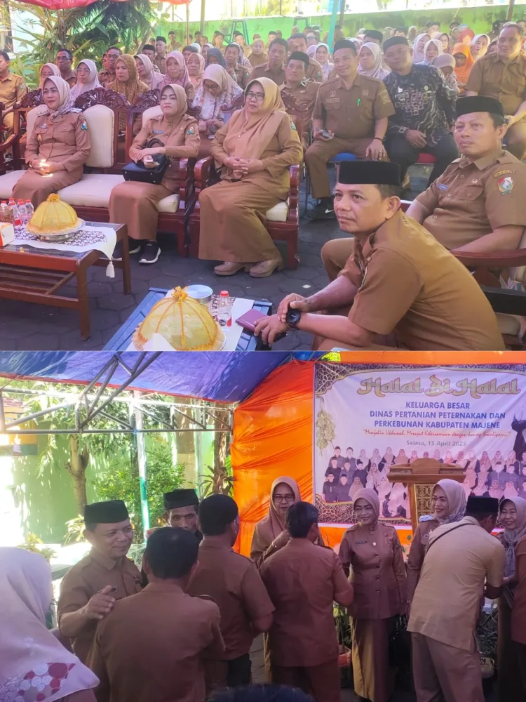 Halal Bihalal Dinas Pertanian, Peternakan, dan Perkebunan Majene: Jalin Ukhuwah, Rajut Kebersamaan dalam Semangat “Siwaliparri”