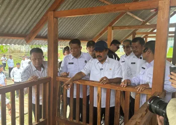 NUSAKAMBANGAN PANEN PERDANA, BANGUN LUMBUNG KETAHANAN PANGAN 